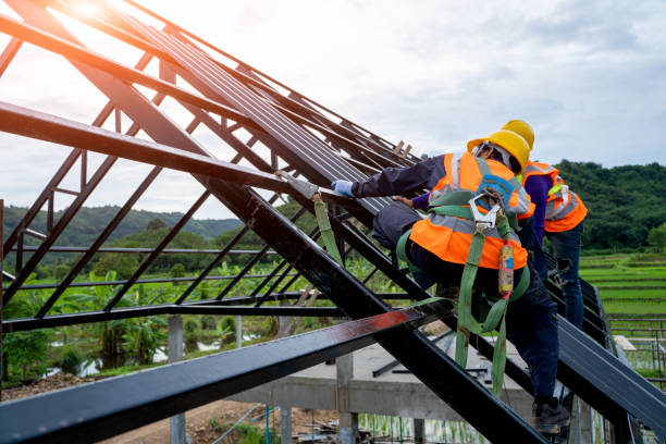 Best Metal Roofing Contractor  in Carbon Cliff, IL