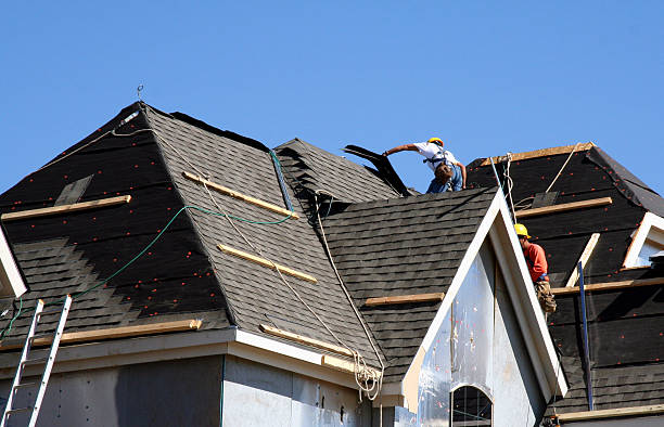 Best Roof Leak Repair  in Carbon Cliff, IL