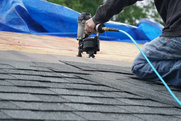 Best Roof Maintenance Services  in Carbon Cliff, IL