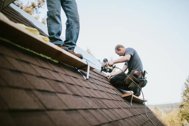 Best Storm Damage Roof Repair  in Carbon Cliff, IL